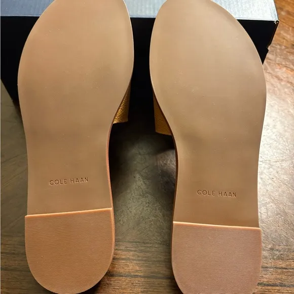 NWT Cole Haan Flynn Logo Slide Sandals (Size 8.5 B)